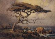 unknow artist Monterey Cypress oil painting reproduction